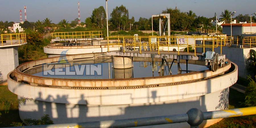ETP Plants and their Uses
