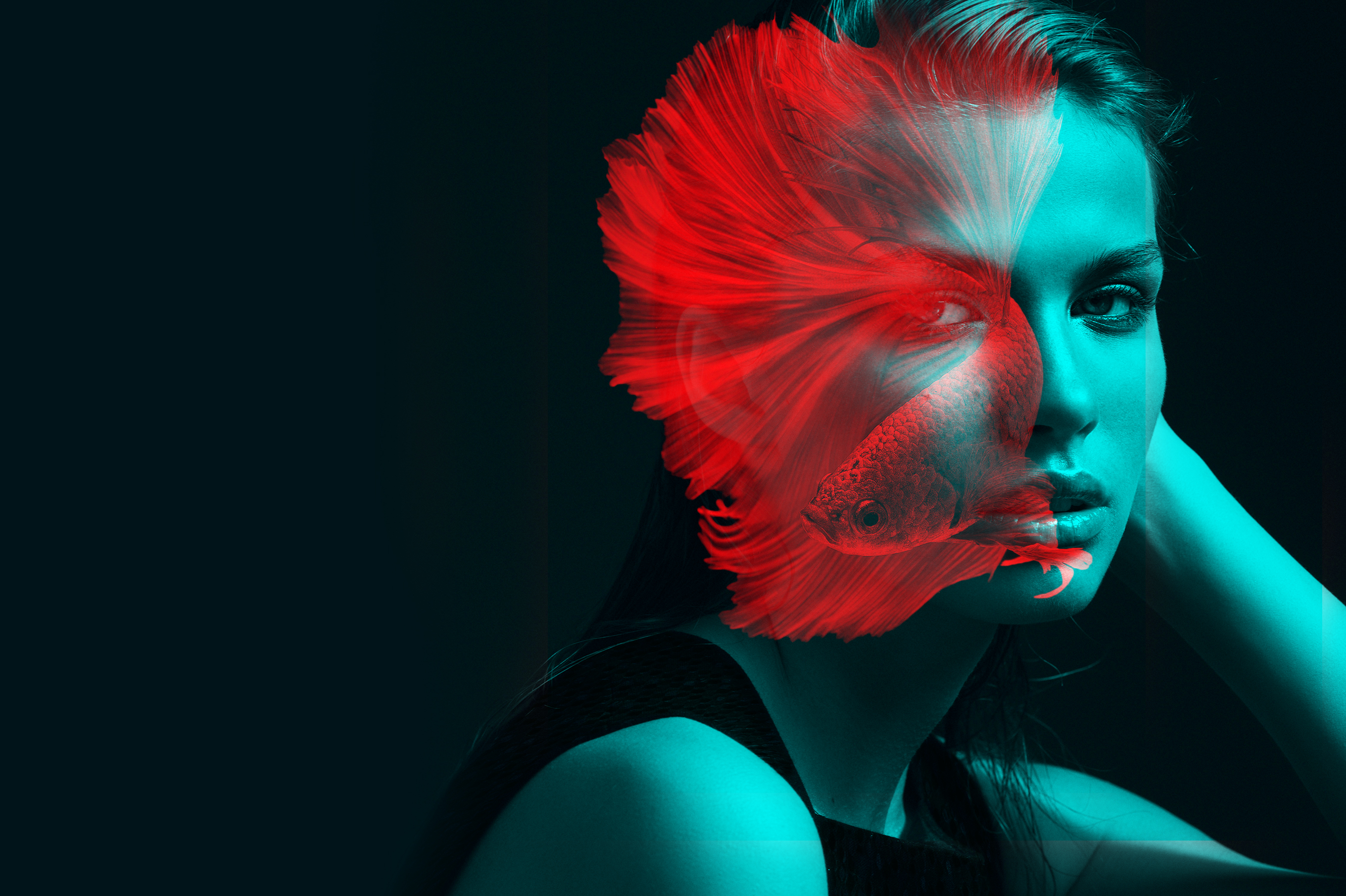 photoshop reflection action