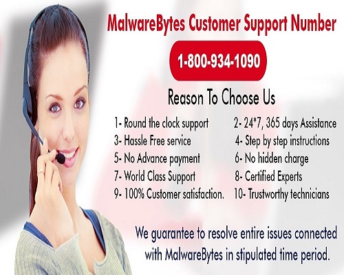 Malwarebytes Runtime Error 383