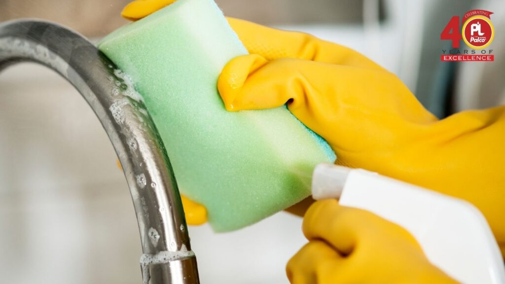 Palco Auto Shine: Transform Your Ride in Minutes