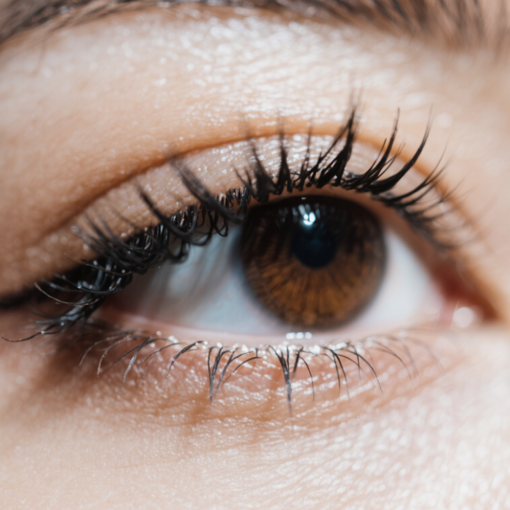 Eyelash - Growth - Inhibiting Medications and Their Effects