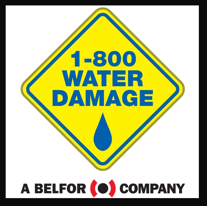 How 1-800 Water Damage Assists Homeowners and Businesses in Woodland Hills with Swift Recovery