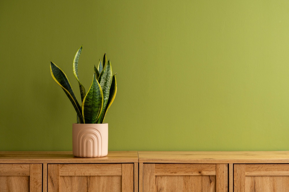 The Rise of Multi-Functional Side Tables: A Trend Worth Following