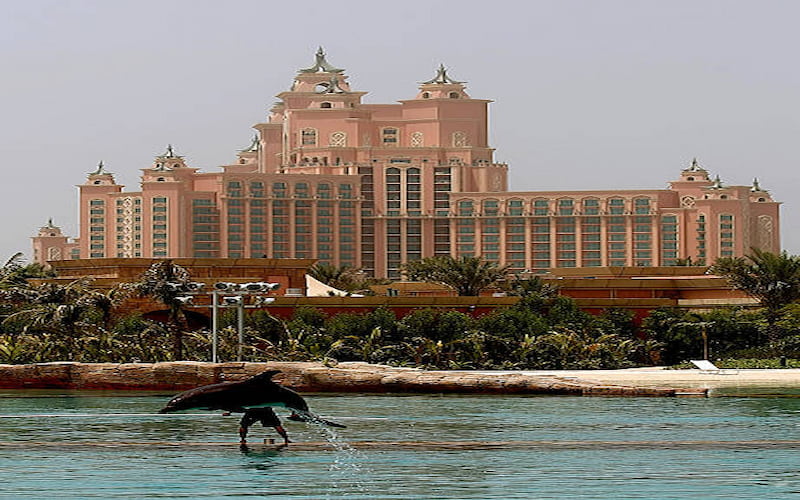 اختبر سحر عروض الدلافين والفقمة في دولفيناريوم دبي دولفيناريوم