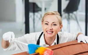Top Questions To Ask Local Moving Companies Near Me Before Hiring