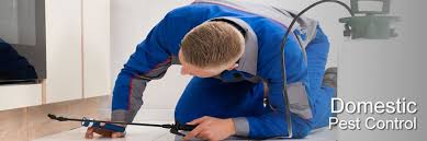 Bed bug pest control Orpington