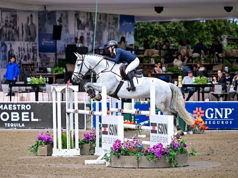 Top Horse Selling Websites for Every Equestrian