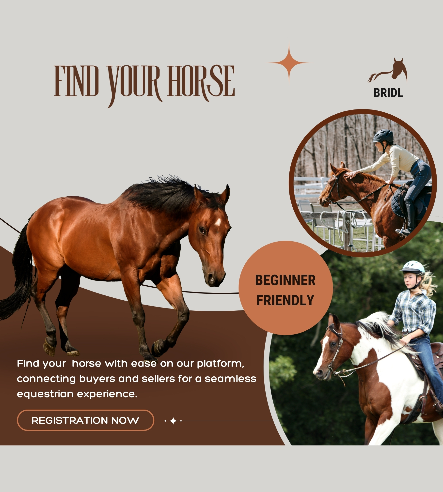 Best Horse Selling Websites in 2025