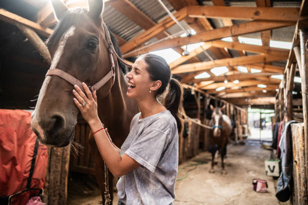 The Excellence and Prestige Behind Elite Sport Horses