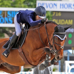 Equestrian Services: Enhancing Your Equestrian Experience