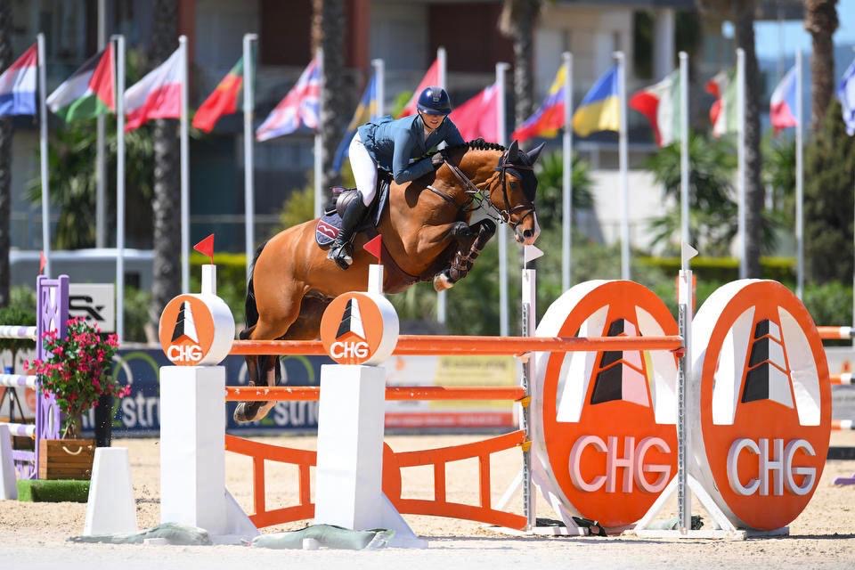 Equestrian Services: Enhancing Lifestyle and Investment in Portugal
