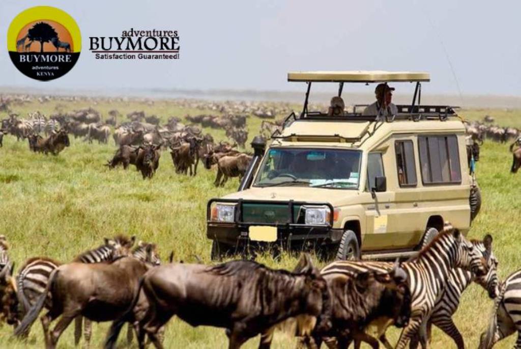 Hot Air Balloon Safaris Over the Masai Mara: Luxury at its Best