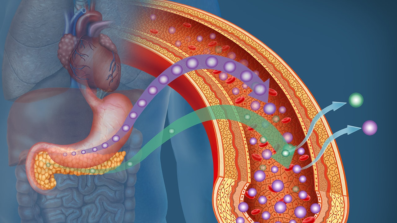 NAMPT Inhibitors Market to Grow Driven by Cancer Research