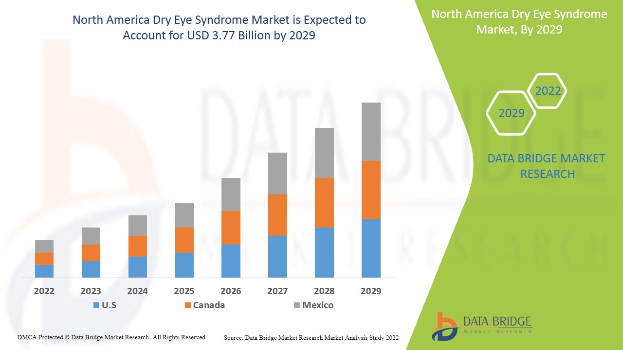 North America Dry Eye Syndrome Market Industry Size, Share Trends, Growth, Demand, Opportunities and Forecast By 2029