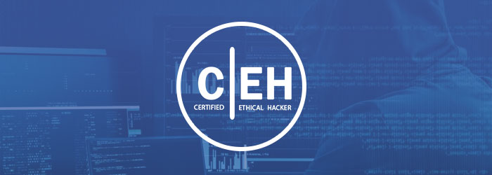 Why Aspirants Should Start Considering Hacking As A Full-Time Career?