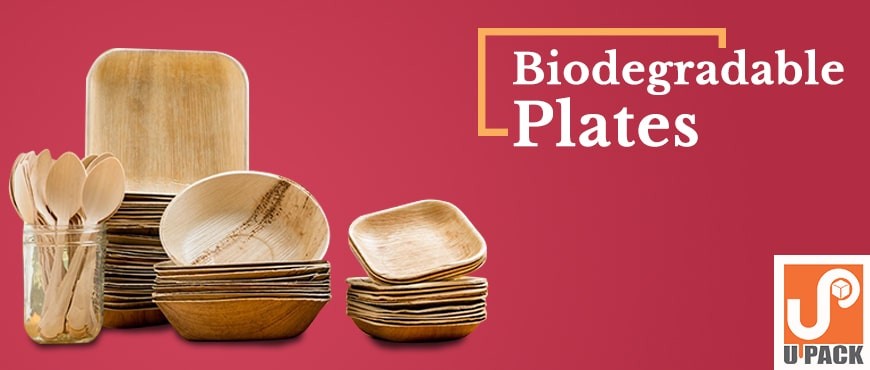 Buy Areca leaf Biodegradable Products Online