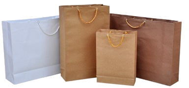 Buy Kraft Paper Shopping Bags Online