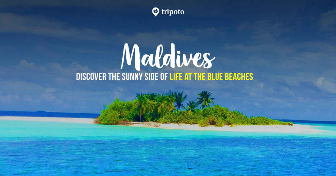 Book Maldives tour packages