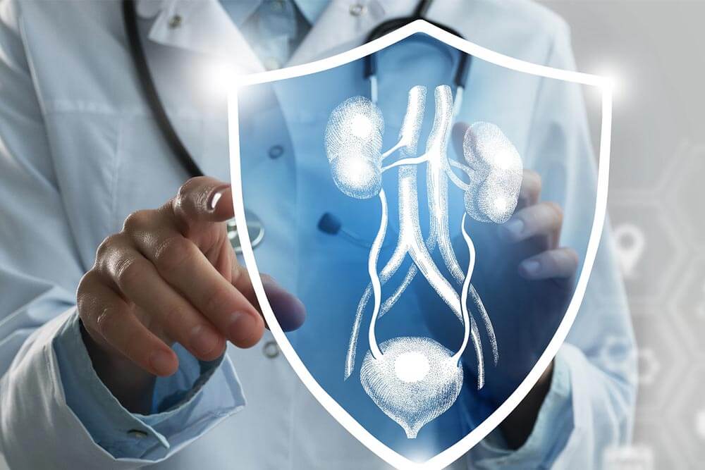 Best Urologist in Jaipur Near You: Trusted Care for Kidney, Bladder & Prostate Issues