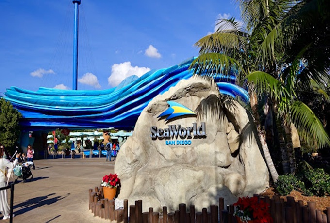 Sedation Dentist In San Diego