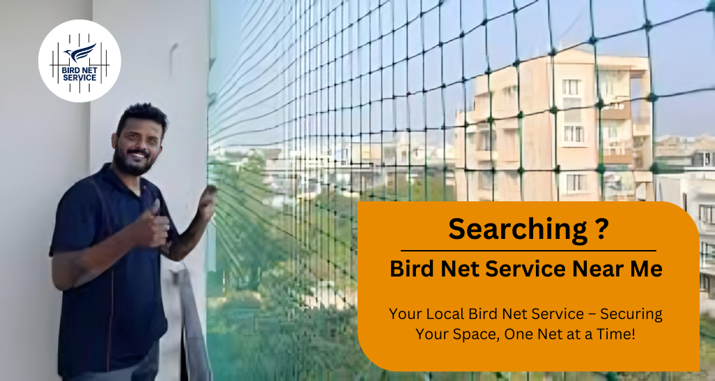 Top Bird Netting Services Near Me – Safe & Affordable Solutions