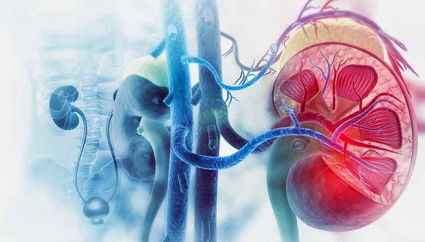 Kidney Transplant Rejection Market Set to Surge with CRISPR-Based Therapies