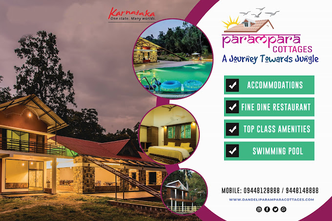 What Makes Dandeli a Hidden Gem for Nature Lovers?