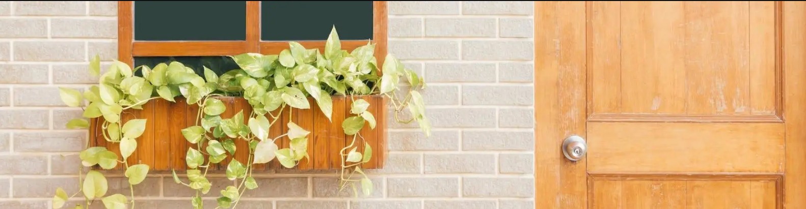 Professional Home Visit Therapist | In-home Therapy Services | My LA Therapy