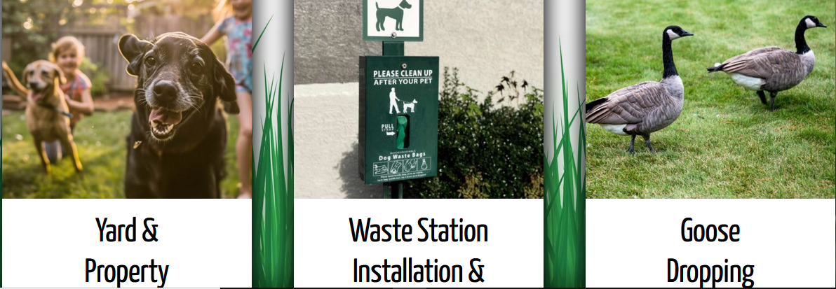 Why should the customers get Dog poop scooper service in Kalamazoo MI?