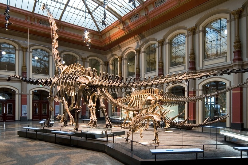 Museum Market is Anticipated to Witness High Growth Owing to Rising Digital Innovation and Virtual Experience Offerings