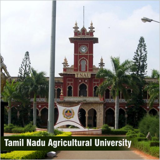 Tamil Nadu Agriculture University