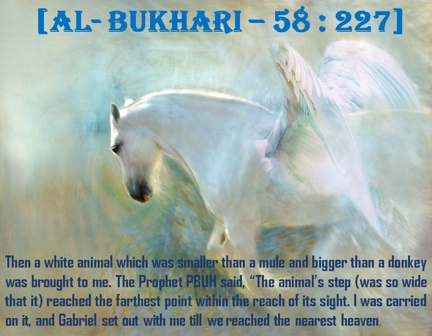 Prophet Muhammad Visit to Jannah