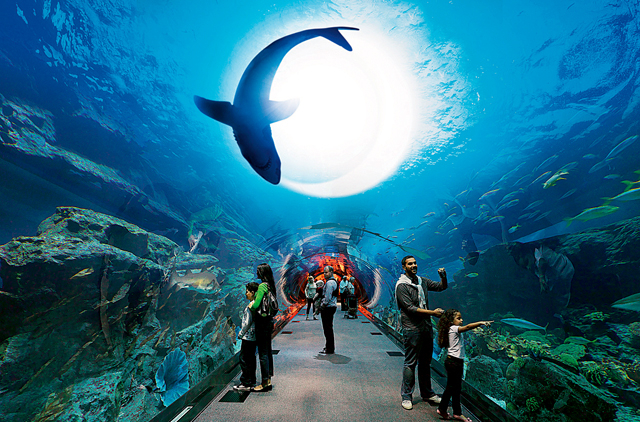Information about Dubai Aquarium