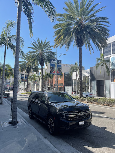 Wedding Transportation Service in Hoffman Estates