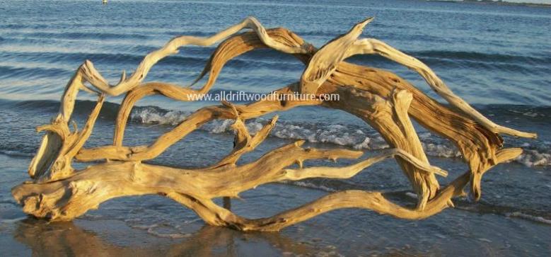 Driftwood Sculpture