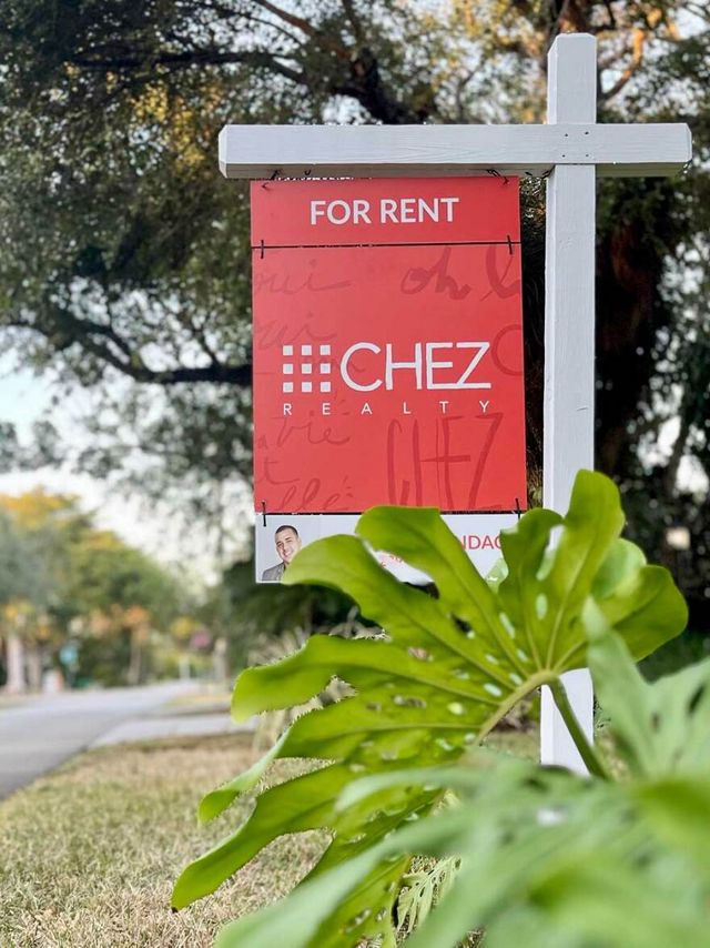 How Much Does Plant Rental Cost: Affordable Options for You?