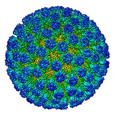 Cryo Electron Microscopy Market is Growing Rapidly Driven by Technological Advancements