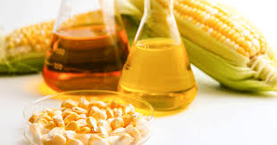 Bioethanol: Exploring the Potential of Bio-Methane as a Sustainable Fuel Solution
