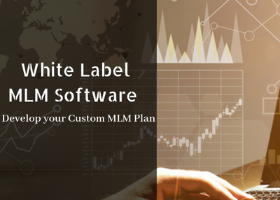 White Label MLM Software – Develop your Custom MLM Plan