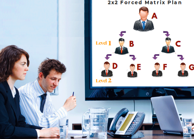 Working of 2×2 Forced Matrix Software