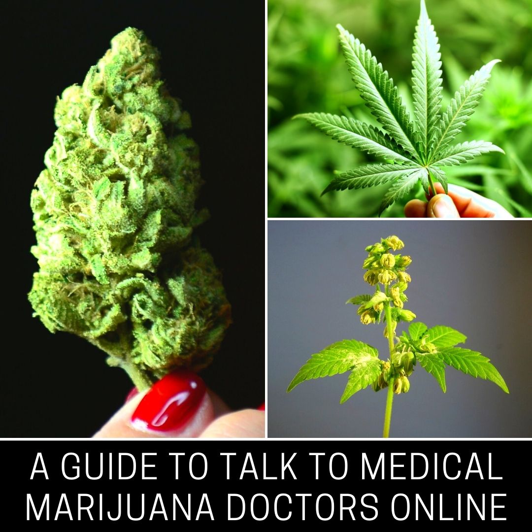 A Guide to Talk to Medical Marijuana Doctors Online in Chino Hills