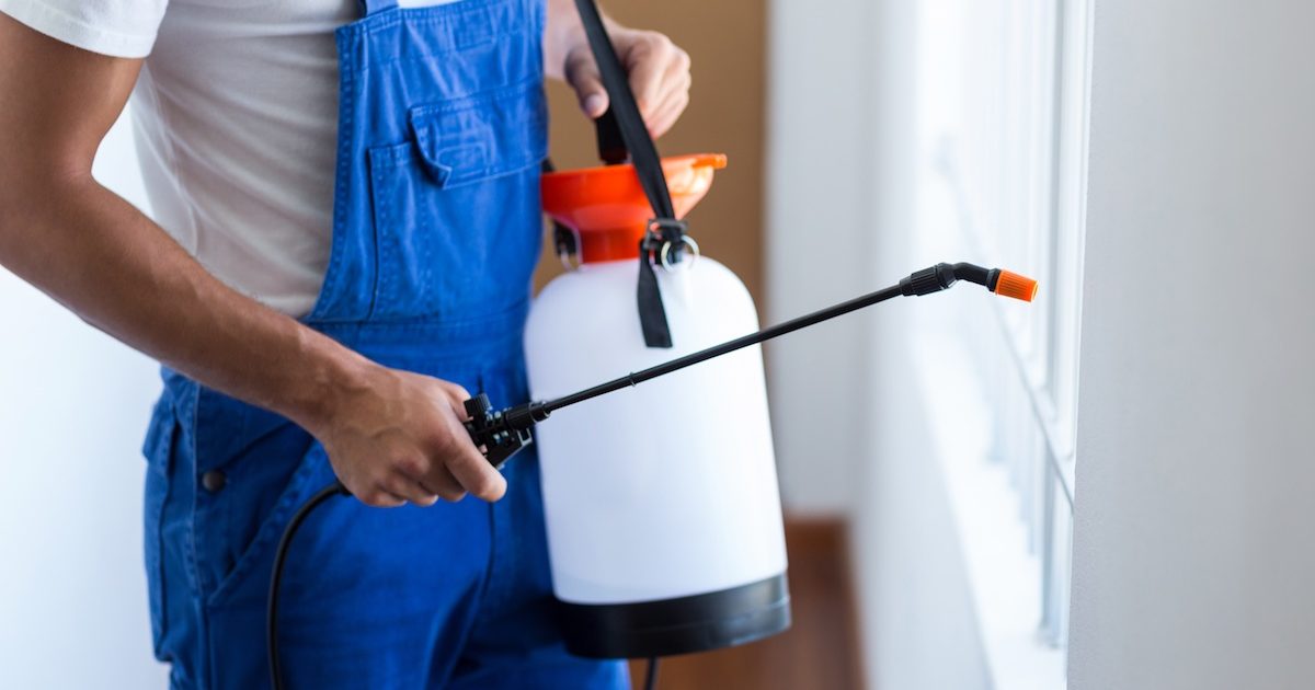 Residential Pest Control Parma Oh