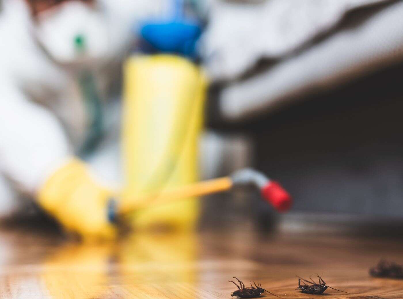 Commercial Pest Control Parma Oh