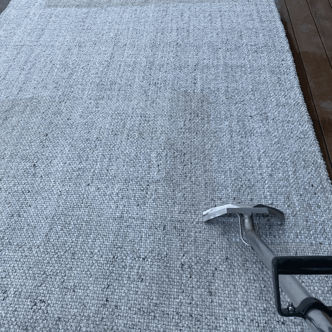 Lift Your Carpets to New Level of Clean with Steam Cleaning