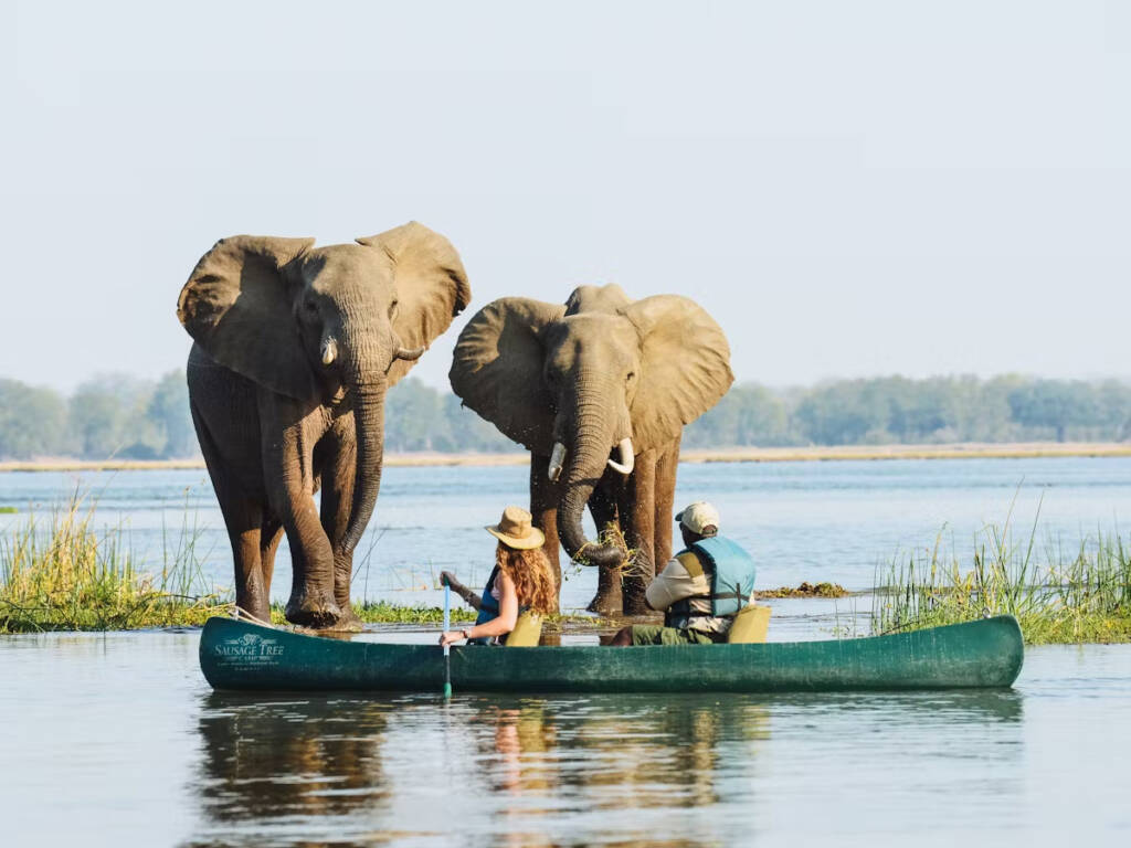 Why mokoro safari so unique on Botswana safaris