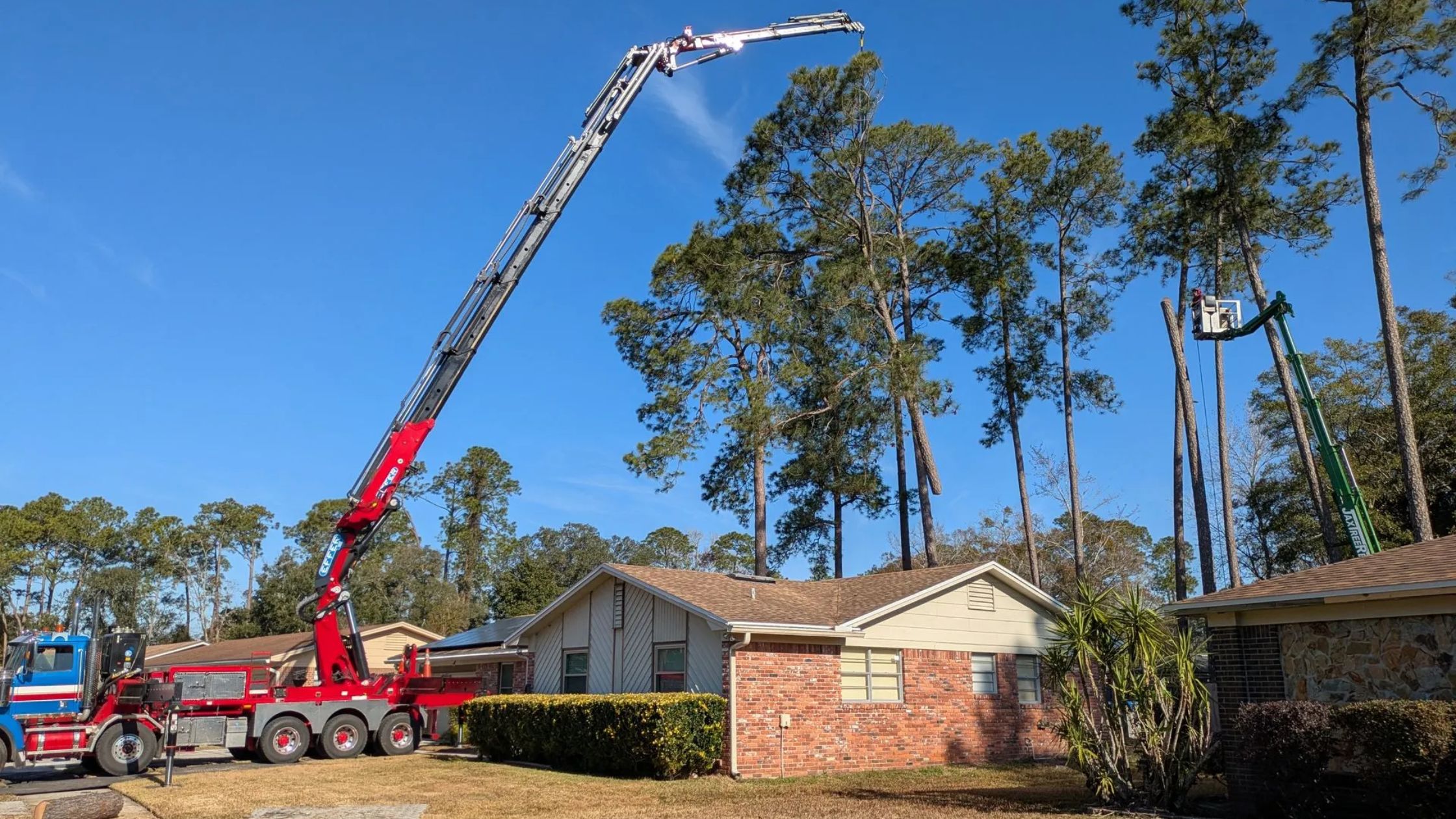 How Can Tree Cutting Improve Safety for Florida Properties?
