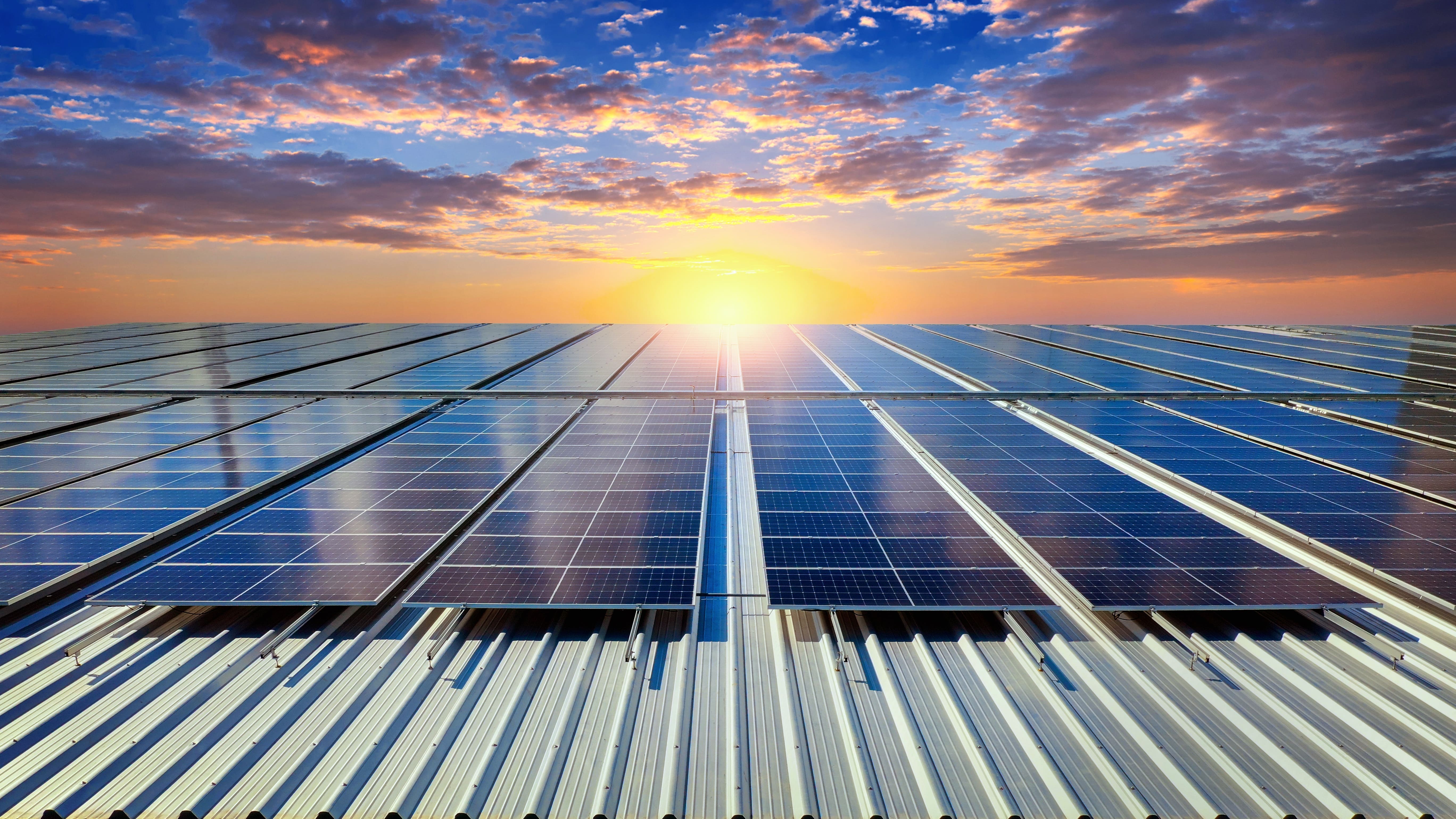 Top Solar Companies in India: Powering the Nation's Green Revolution