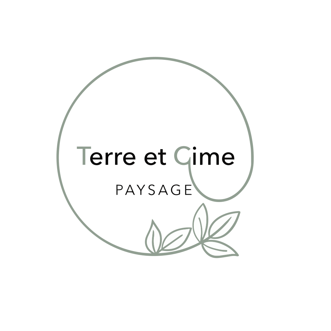 Plantation et Engazonnement : Guide Complet pour un Jardin Verdoyant
