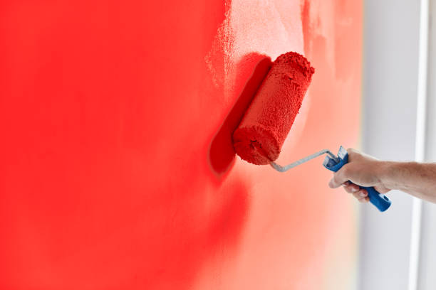 Professional Painting Services That Protect and Enhance Your Space