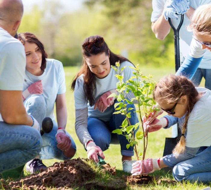 What Is The Importance Of Active Community Participation?